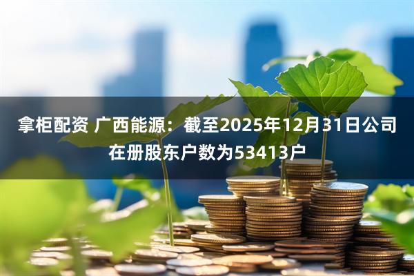 拿柜配资 广西能源：截至2025年12月31日公司在册股东户数为53413户