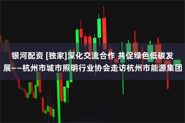 银河配资 [独家]深化交流合作 共促绿色低碳发展——杭州市城市照明行业协会走访杭州市能源集团